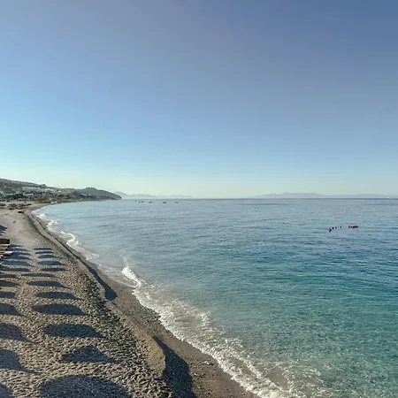 4 - Thymus * Dhërmi